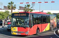 Mallorca Travel Guide