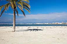 Mallorca Travel Guide