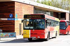 Mallorca Travel Guide